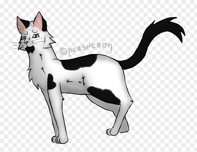 Cat Whiskers Domestic Short-haired Paw Character PNG