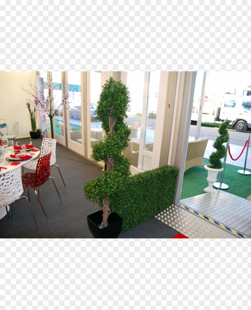 Design Floral Interior Services Houseplant Tree PNG