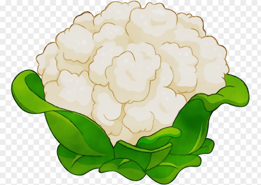 Floral Design PNG