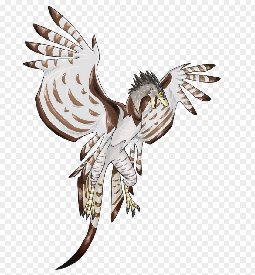Harpy Eagle DeviantArt PNG