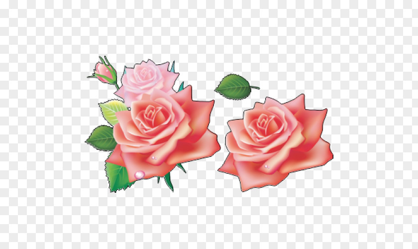 Rose Clip Art PNG