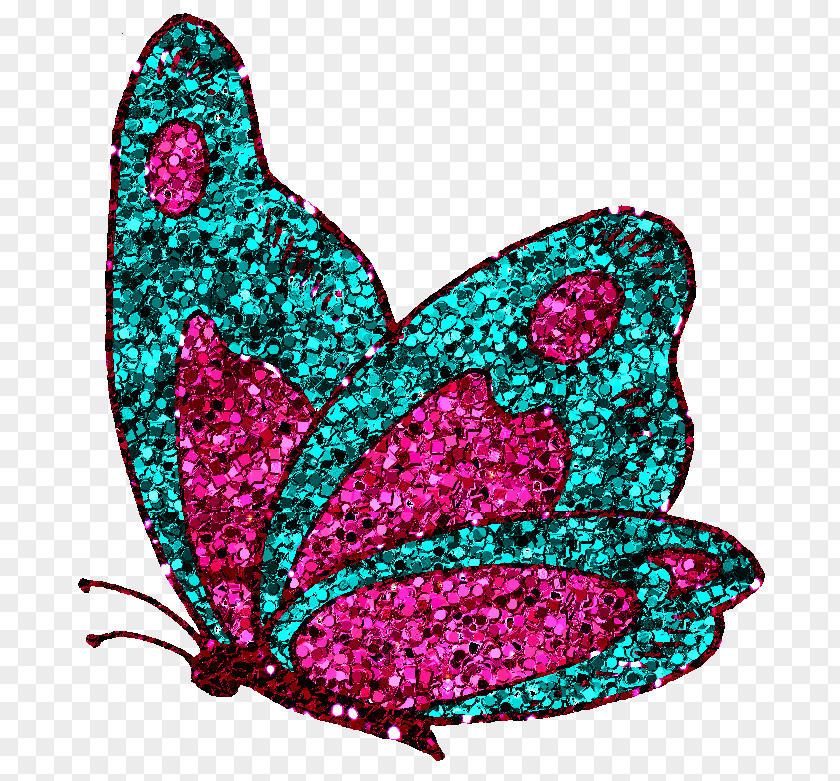 The Little Sun Butterfly Desktop Wallpaper Clip Art PNG