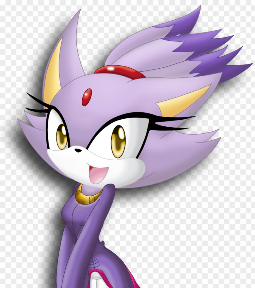 Blaze Sonic The Hedgehog Cat Rouge Bat Shadow PNG