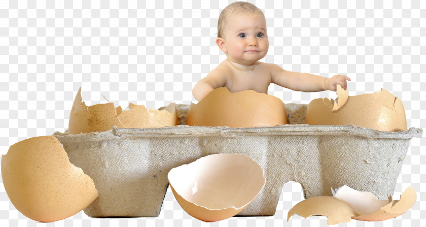 Child Chicken Egg Infant PNG