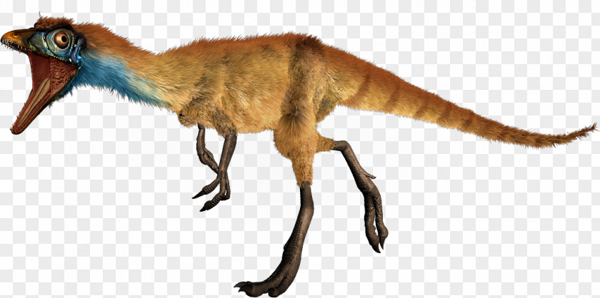 Dinosaur Compsognathus Size Ceratosaurus Diplodocus Microraptor PNG