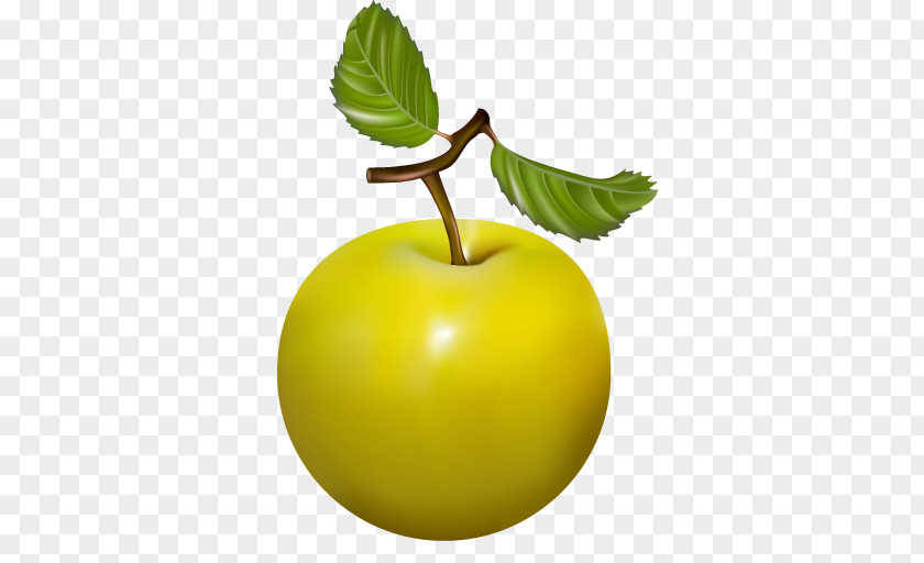 Fruit Basket Vector Graphics Apple Peach Food PNG