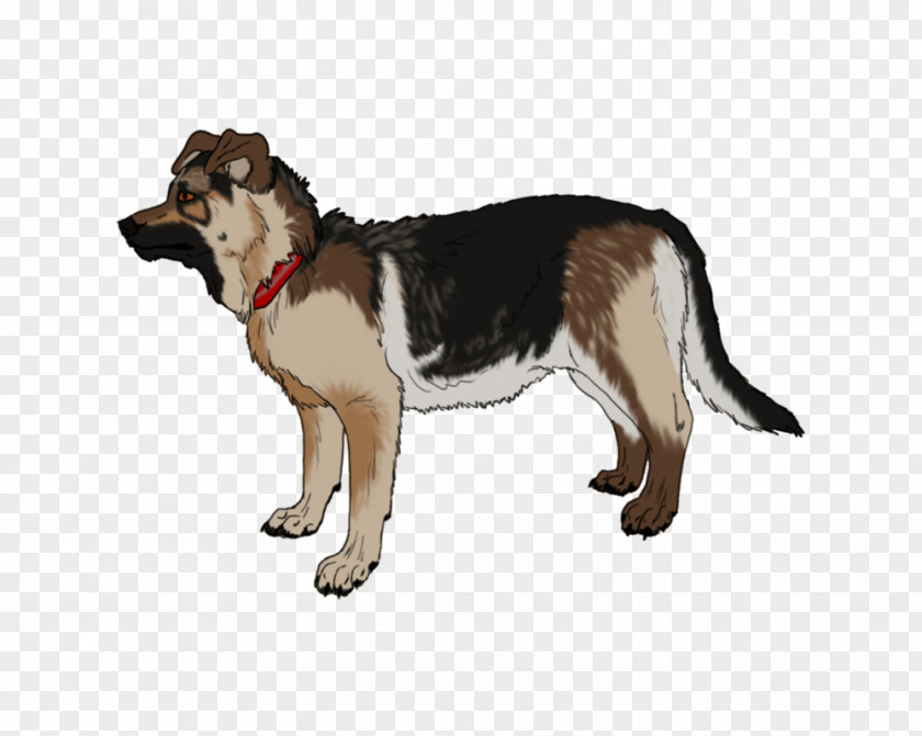 German Shepherd Playing Dog Breed Group (dog) Leash American Kennel Club PNG