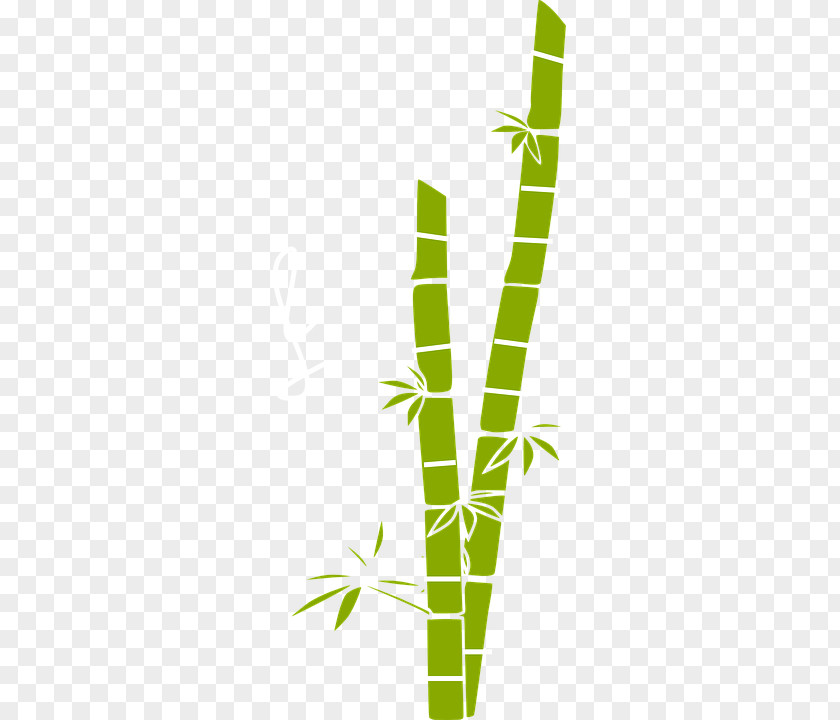 Green Bamboo Free Content Clip Art PNG
