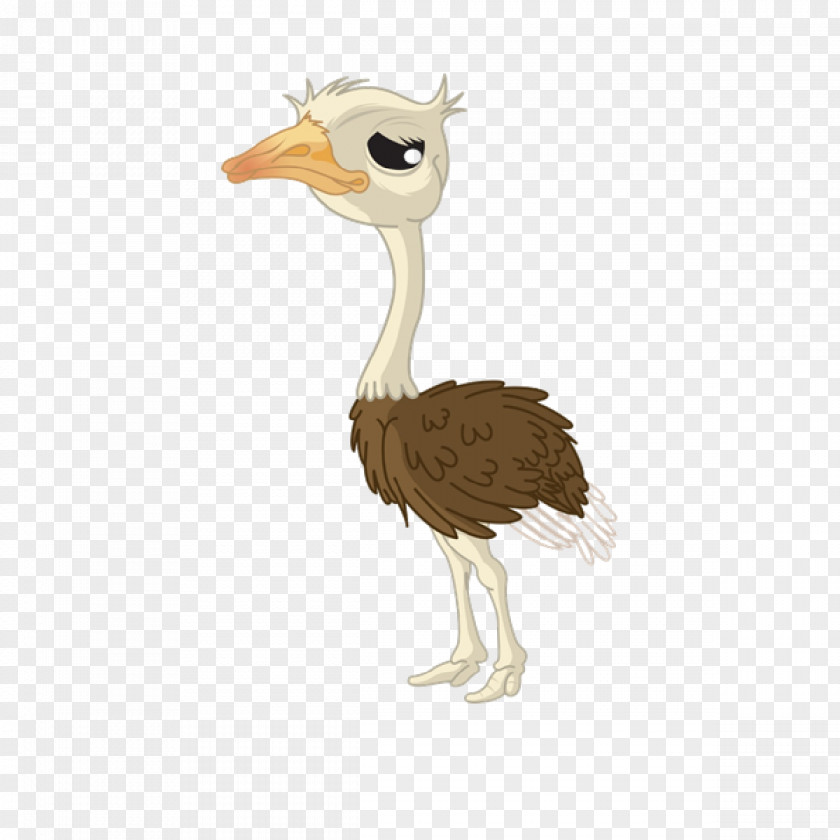 Ostrich Cartoon Common Drawing PNG