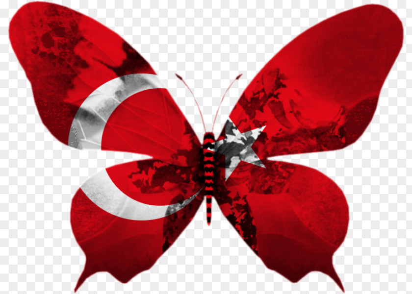 Sosyal Flag Of Turkey Agar.io Eurovision Song Contest Portugal PNG