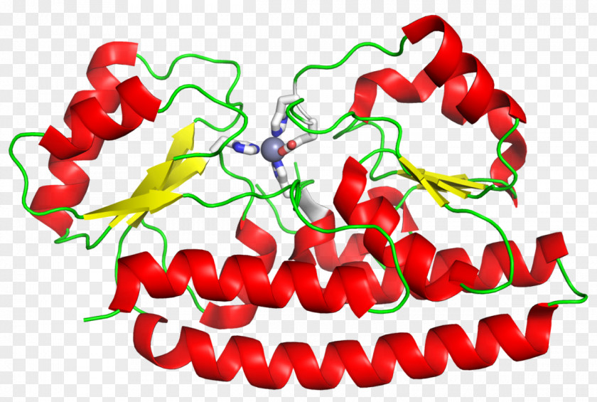 Transmembrane Protein ZnuABC Chili Pepper Membrane Transport Peppers Zinc PNG