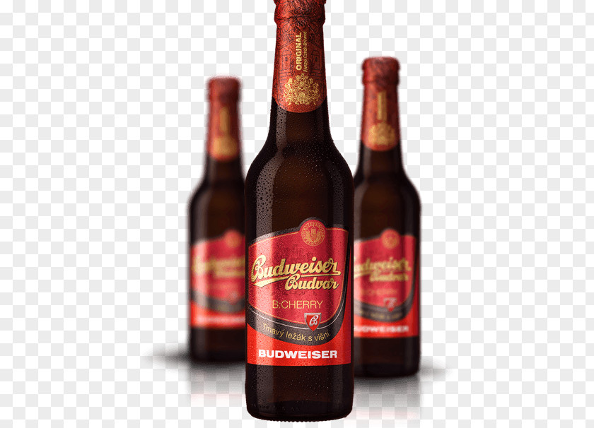 Beer Bottle Wine Liqueur Glass PNG