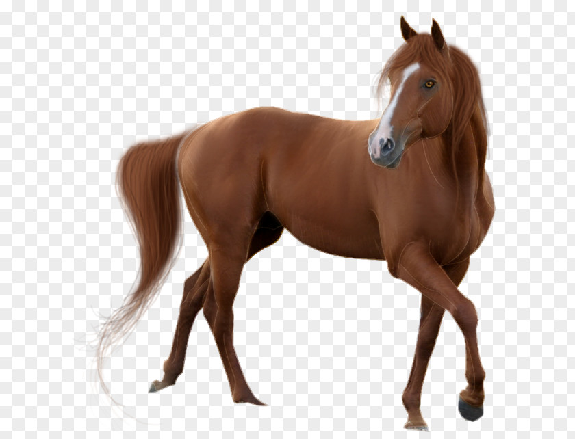 Brown Horse Pixel PNG