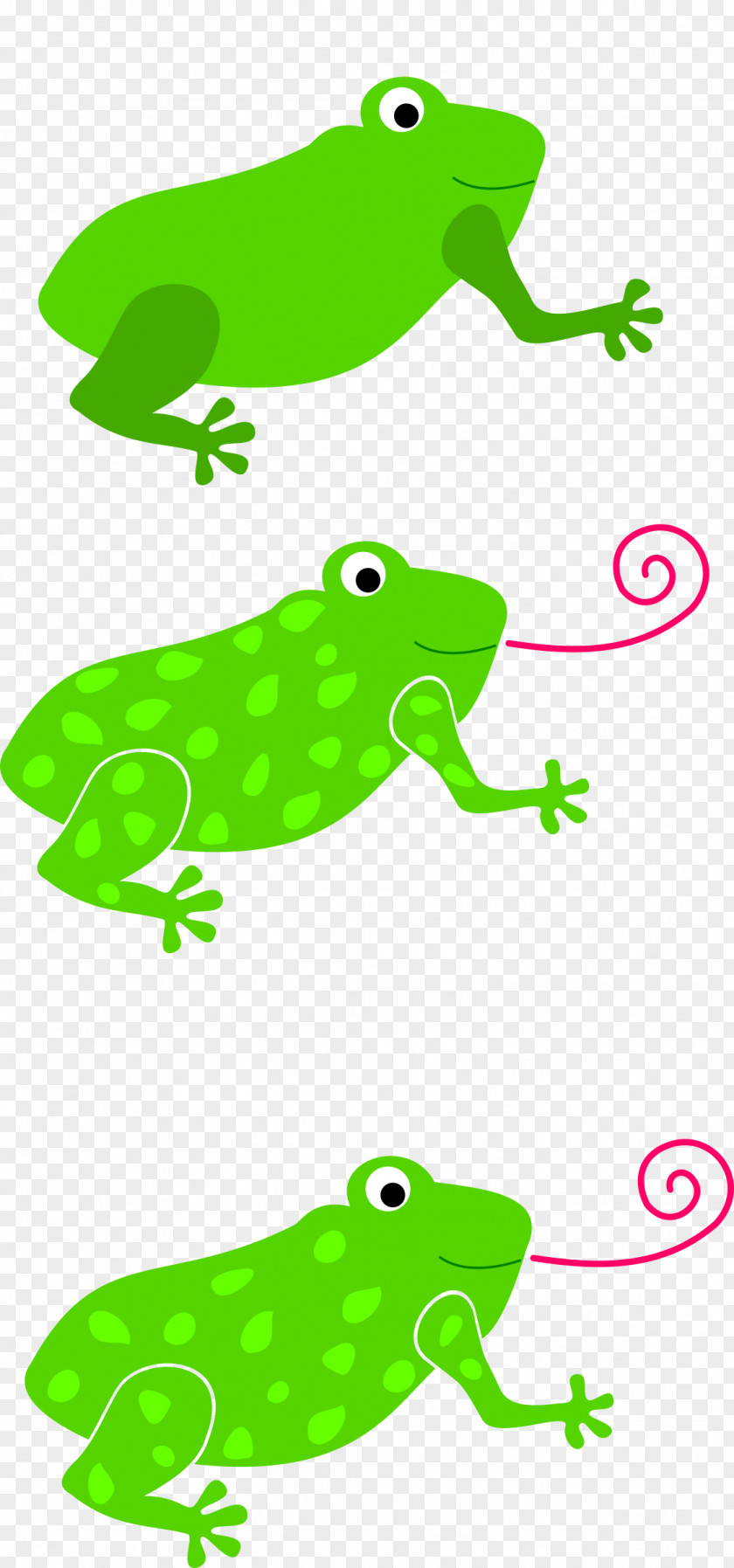 Frog Tree Tongue Toad Clip Art PNG