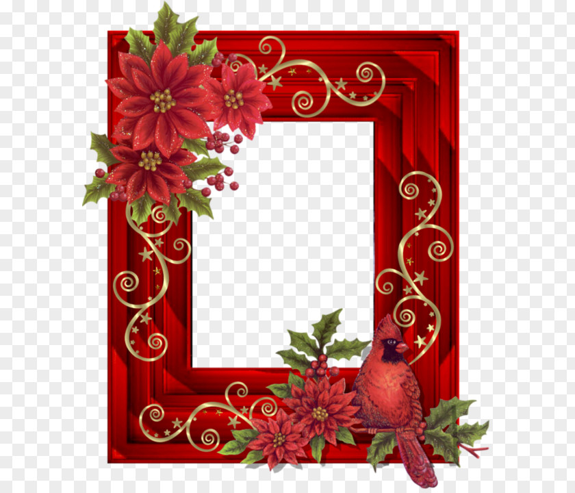 Picture Frames Photography PNG