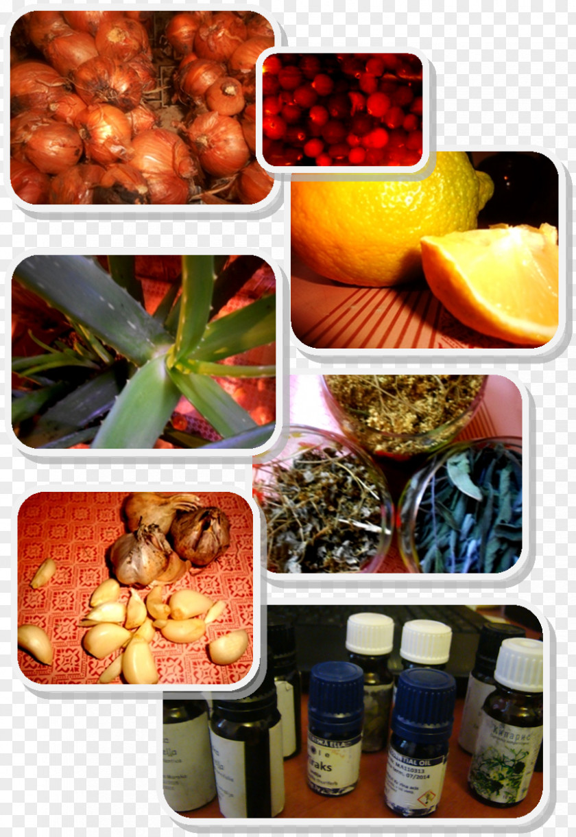 Vegetable Vegetarian Cuisine Diet Food Lunch Recipe PNG