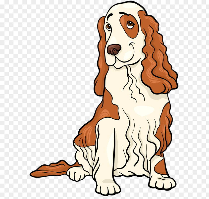Cartoon Dog English Cocker Spaniel Clip Art PNG