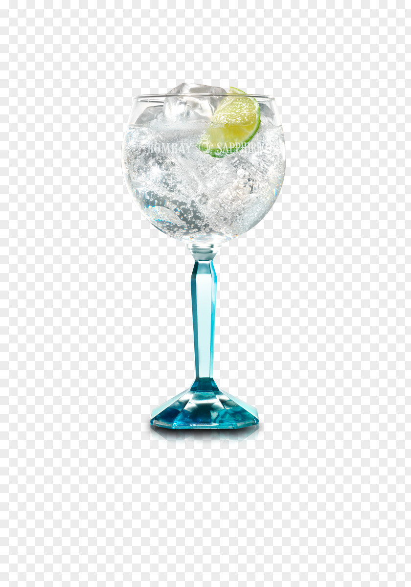 Cocktail Gin And Tonic Water Wine Glass Martini Garnish PNG