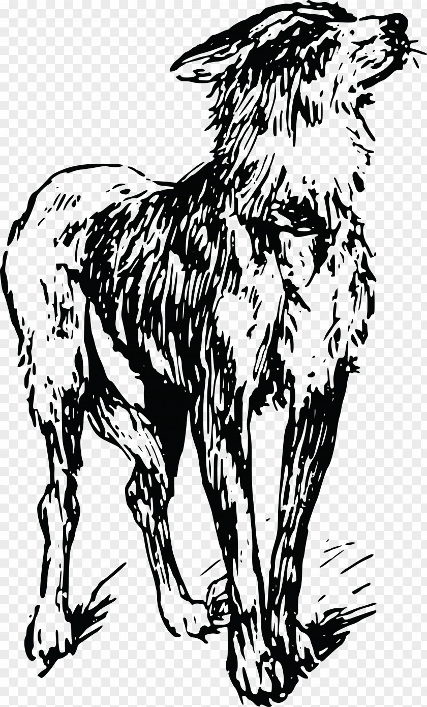 Creative Pet Dog Beagle Puppy Old English Sheepdog Rottweiler Clip Art PNG