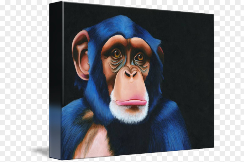 Gorilla Common Chimpanzee Gallery Wrap Monkey Portrait PNG