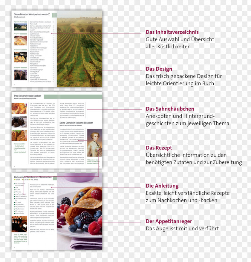 Kompass Web Page Pancake Brochure Font PNG