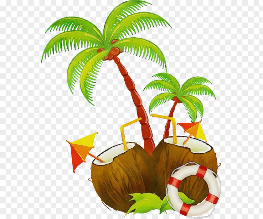 Nepenthes Tropics Coconut Tree Cartoon PNG