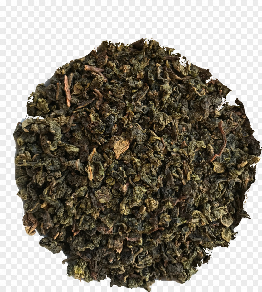 Tea Nilgiri Tieguanyin Drink Samovar PNG