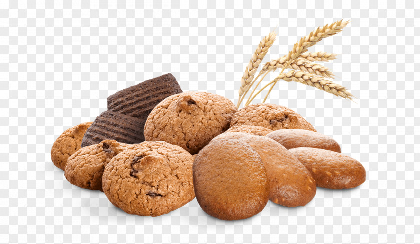 Biscuit Biscuits Food Lebkuchen Wheat Flour PNG