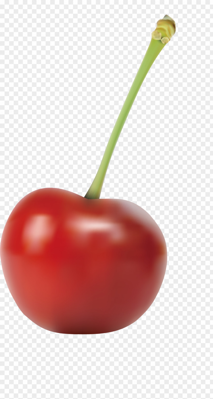 Cherry Vector Smoothie Tomato Euclidean PNG