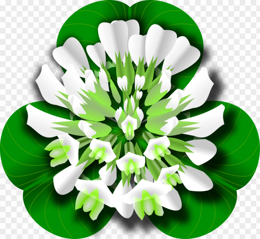 Clover White Red Four-leaf Clip Art PNG