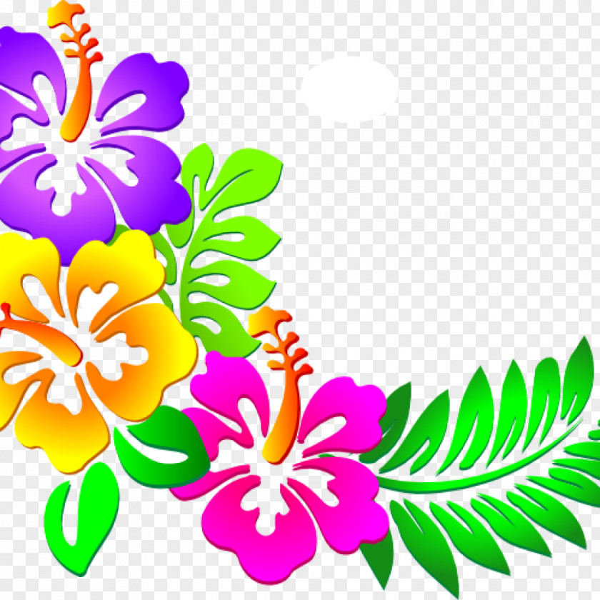 Flower Cuisine Of Hawaii Clip Art Rosemallows Image PNG