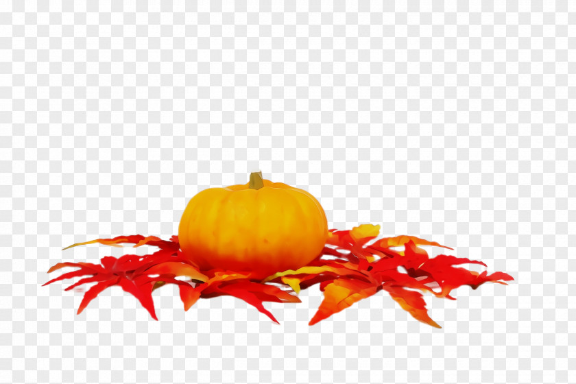 Food Vegetarian Orange PNG