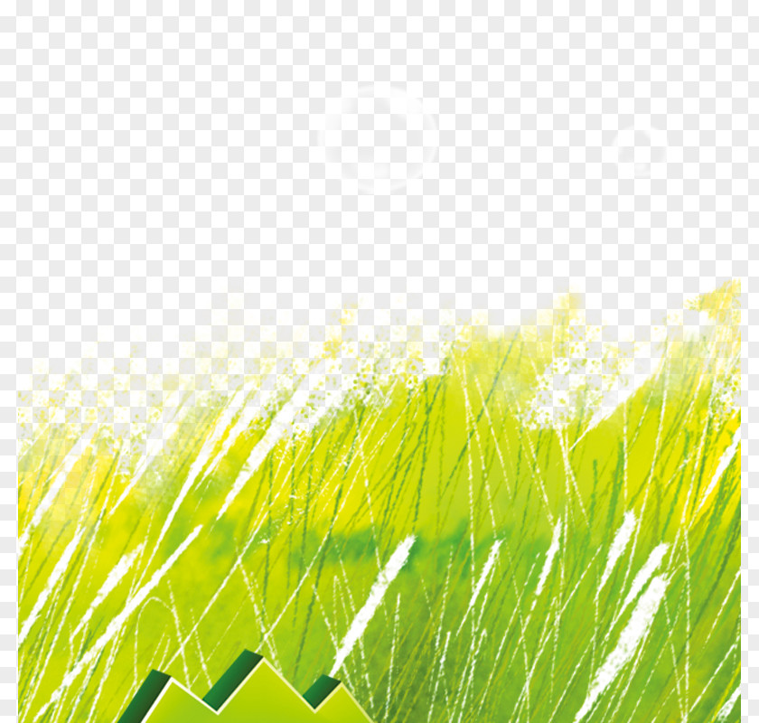 Green Background Icon PNG
