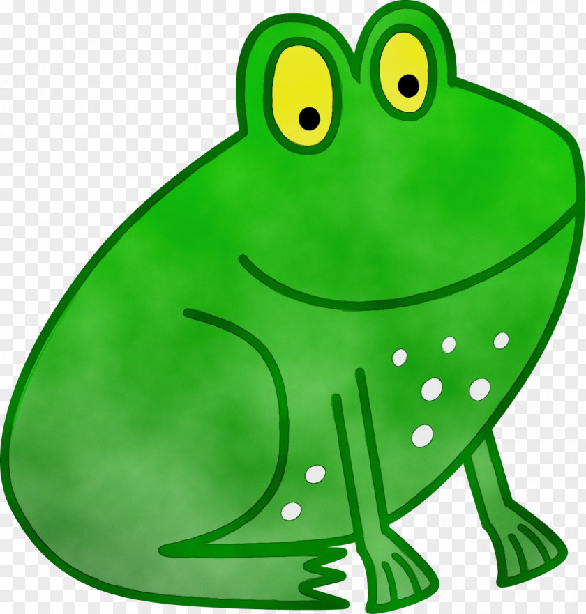 Hyla True Frog Watercolor Animal PNG