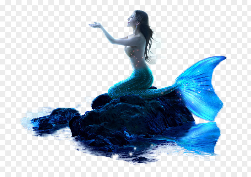 Mermaid The Little PNG