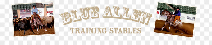Stables Brand Hair Coloring Varnish Font PNG