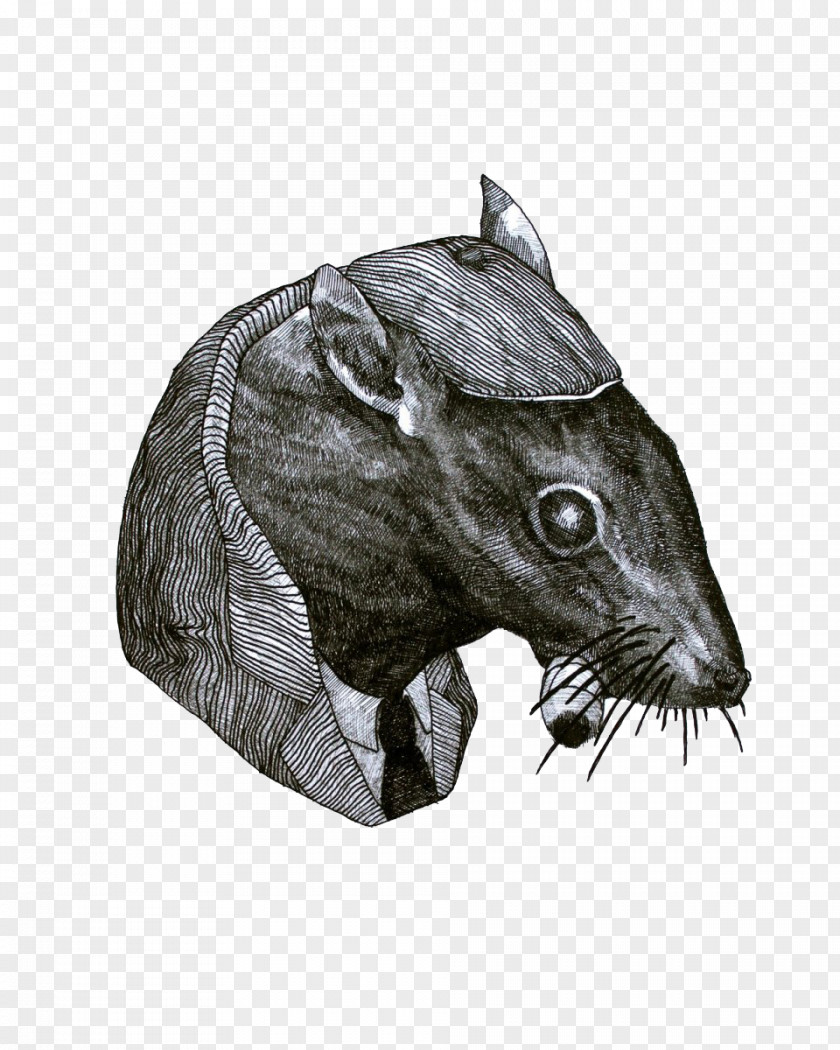 Black Chimney Mouse Illustration Rat And White Drawing PNG