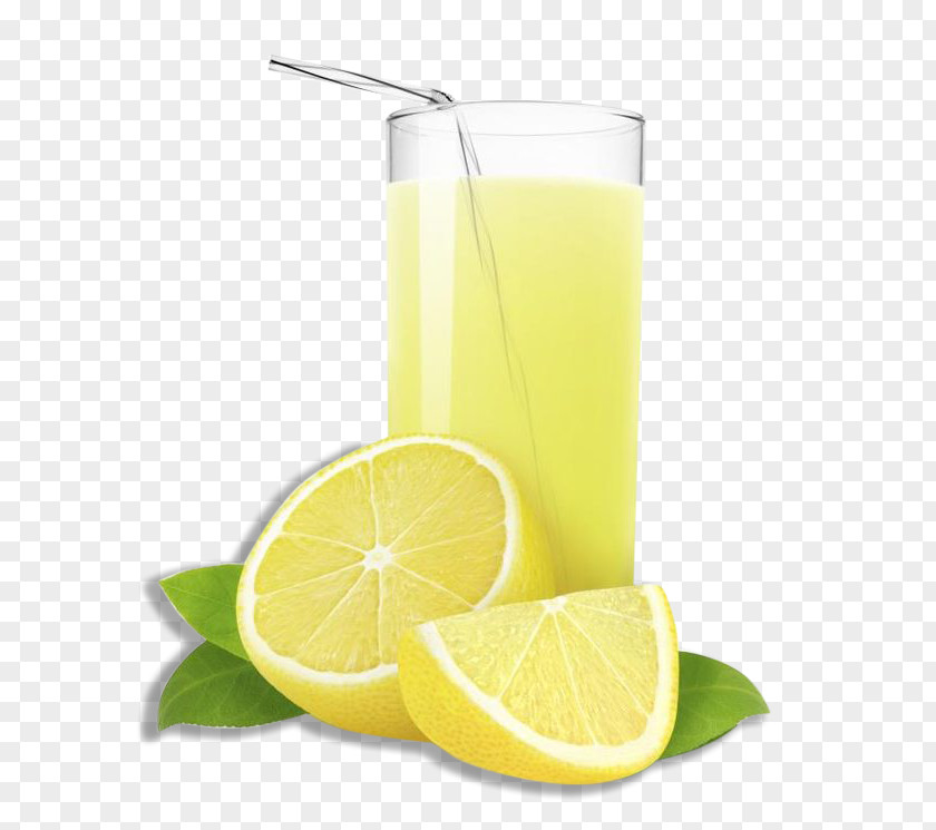 Lemon Juice Lemonade Fizzy Drinks Bubble Tea PNG