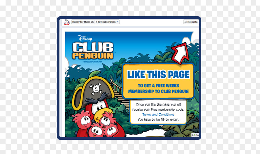 Penguin Club Game Ayer 2 Video PNG