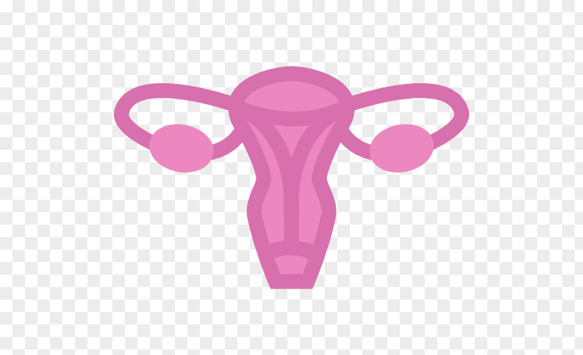 Uterus Icon PNG
