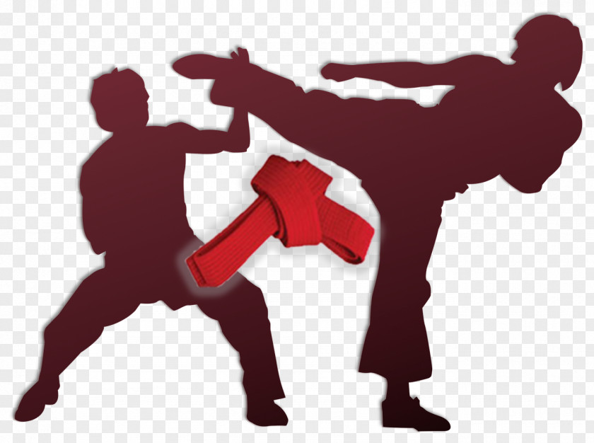 Animation GIF Martial Arts Image Taekwondo PNG