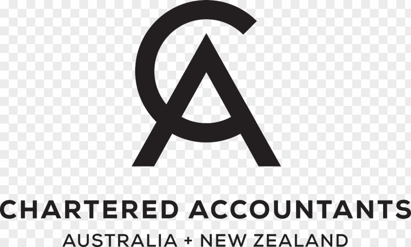 Chartered Accountant Accounting Tax PNG