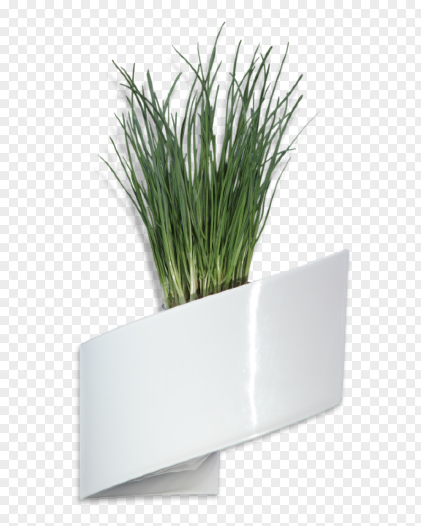 Design Flowerpot Houseplant Crock Flower Box Furniture PNG