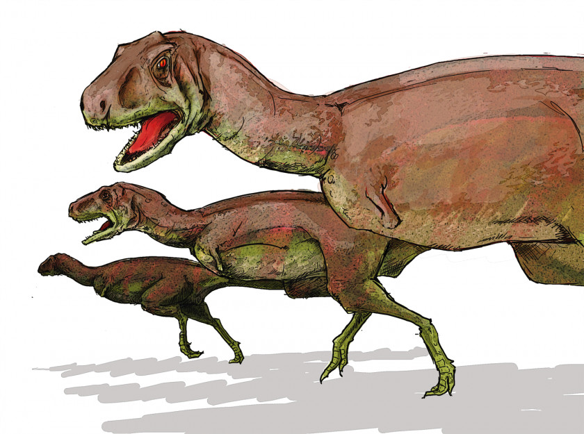 Dinosaur Aucasaurus Carnotaurus Tarascosaurus Abelisaur Tyrannosaurus PNG