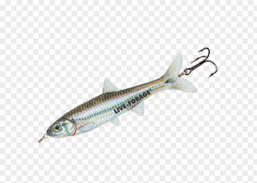 Fish Fried Fishing Baits & Lures Minnow Sardine Surface Lure PNG