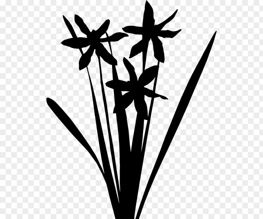 Grasses Clip Art Plant Stem Leaf Flower PNG