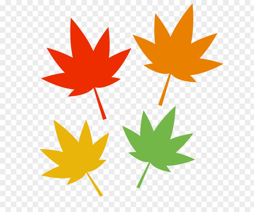 Autumn Leaf Color Illustration Vector Graphics PNG