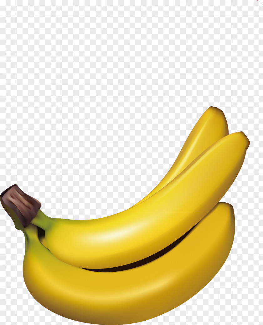 Banana Decoration Design Vector PNG
