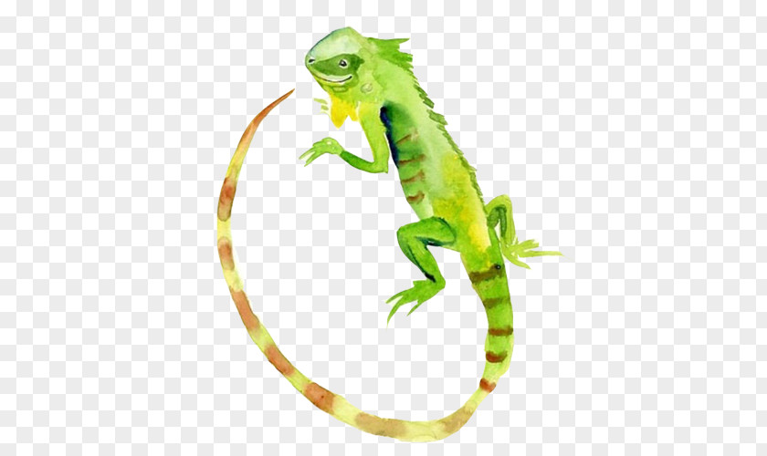 Chameleon Hand Painting Material Picture Lizard Watercolour Flowers Green Iguana Reptile Watercolor PNG