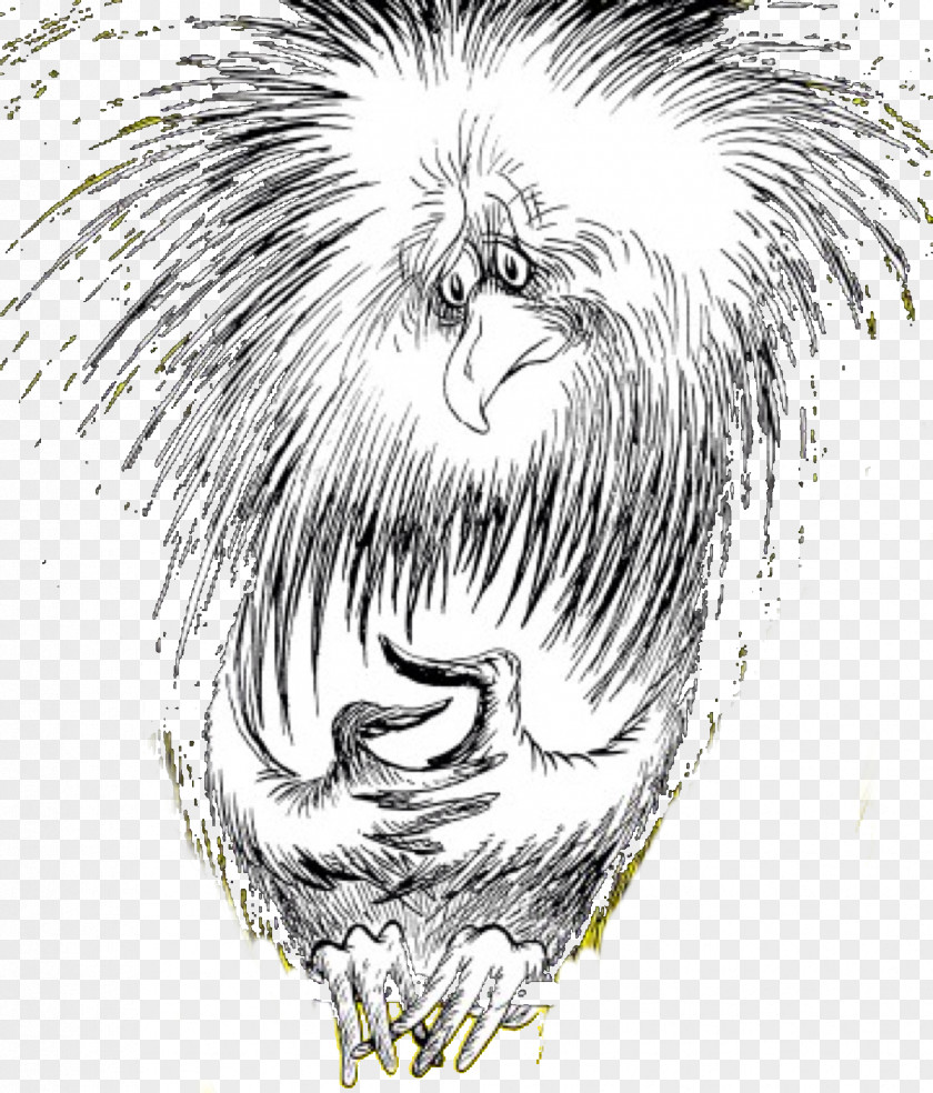 Coloring Book Blackandwhite Bird Line Drawing PNG
